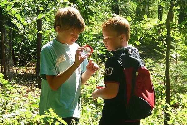 Zwei Jungen stehen in einem sonnenbeschienenen Wald, einer hält eine Lupe in der Hand und untersucht einen Gegenstand, während der andere zusieht und einen Rucksack trägt.
