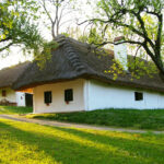 Ein traditionelles weißes Haus mit Strohdach steht an einem grasbewachsenen Hang, umgeben von Bäumen in hellem Sonnenlicht.