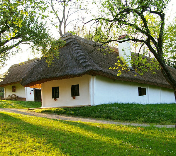 Ein traditionelles weißes Haus mit Strohdach steht an einem grasbewachsenen Hang, umgeben von Bäumen in hellem Sonnenlicht.