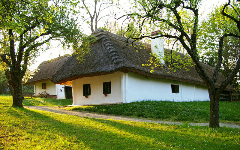 Ein traditionelles weißes Haus mit Strohdach steht an einem grasbewachsenen Hang, umgeben von Bäumen in hellem Sonnenlicht.
