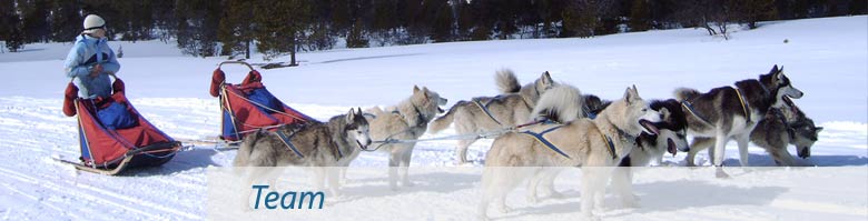 Eine Person in Winterkleidung fährt mit einem Hundeschlitten, der von einem Gespann aus sechs Huskys gezogen wird, durch eine verschneite Landschaft.