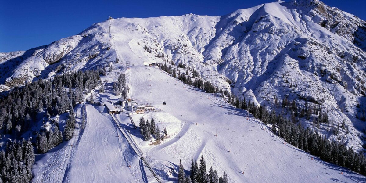 Ein verschneites Skigebiet mit Pisten, Sesselliften und Pinienbäumen am Fuße eines Berges unter einem strahlend blauen Himmel.