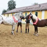 Zwei Pferde mit roten und weißen Bändern stehen sich in einer sandigen Arena gegenüber, jedes von einer Person gehalten, mit einem gelben Gebäude im Hintergrund.