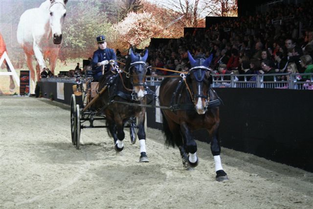 Eine Person fährt eine Kutsche, die von zwei Pferden in einer Reithalle gezogen wird, während eine Menschenmenge zuschaut und ein großes Pferdebild im Hintergrund zu sehen ist.