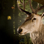 Ein präparierter Hirsch mit Geweih ist vor einer waldähnlichen Kulisse ausgestellt, mit Informationstafeln und kleinen Bildern an der Wand.