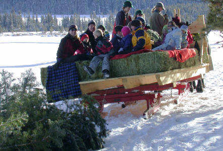 Eine Gruppe von Menschen, darunter Kinder, fährt auf einem von Pferden gezogenen Heuwagen durch den Schnee, umgeben von Bäumen in einer Winterlandschaft.