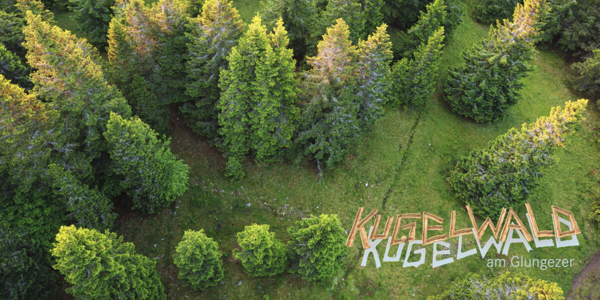 Luftaufnahme eines dichten Kiefernwaldes mit der Aufschrift "Kugelwald am Glungezer" auf der Graslichtung.