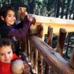 Zwei Kinder stehen in einer Holzkonstruktion in einem Wald; eines hält einen Ball und schaut in die Kamera, während das andere sich lächelnd am Geländer festhält.