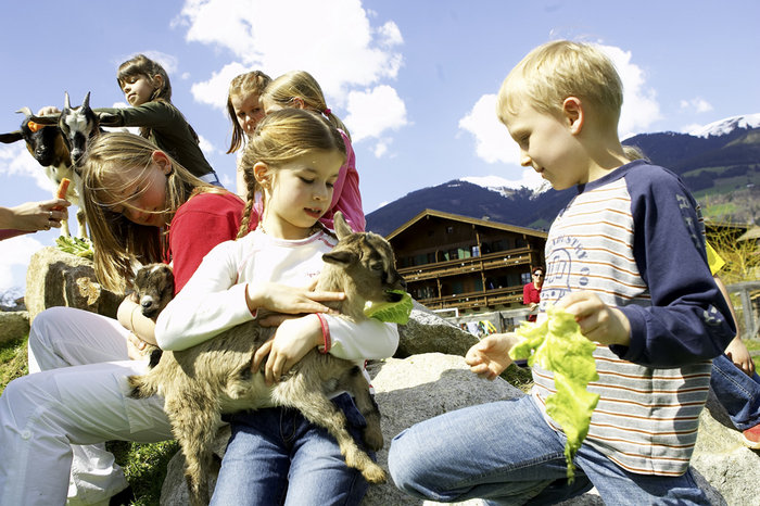 Mehrere Kinder sitzen im Freien auf Felsen und halten und füttern Ziegenbabys. Im Hintergrund sind ein Holzhaus, Berge und ein blauer Himmel zu sehen.