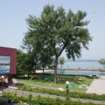 Blick auf einen Park am Seeufer mit einem großen Baum, Menschen, die sich im Gras sonnen, einem Spazierweg und einem modernen roten Gebäude, an dessen Wand ein großes Plakat hängt.