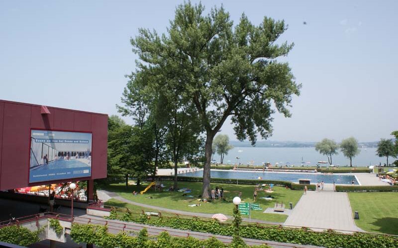 Blick auf einen Park am Seeufer mit einem großen Baum, Menschen, die sich im Gras sonnen, einem Spazierweg und einem modernen roten Gebäude, an dessen Wand ein großes Plakat hängt.
