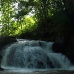 Ein kleiner Wasserfall fließt über Felsen in einem Waldgebiet, während das Sonnenlicht durch die grünen Bäume darüber fällt.