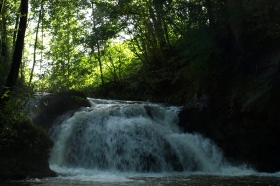 Ein kleiner Wasserfall fließt über Felsen in einem Waldgebiet, während das Sonnenlicht durch die grünen Bäume darüber fällt.