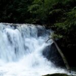 Kleiner Wasserfall, der über Felsen fließt, mit einem umgestürzten Baum, der sich ins Wasser lehnt, umgeben von dichtem grünen Laub.