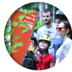 Eine Gruppe von Menschen, darunter ein Kind mit einem Fahrradhelm, liest zwischen Bäumen ein Informationsschild im Freien.