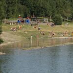 Menschen entspannen und sonnen sich auf einer Wiese am Seeufer in der Nähe eines Spielplatzes, mit Bäumen im Hintergrund und einigen Menschen, die im Wasser waten.