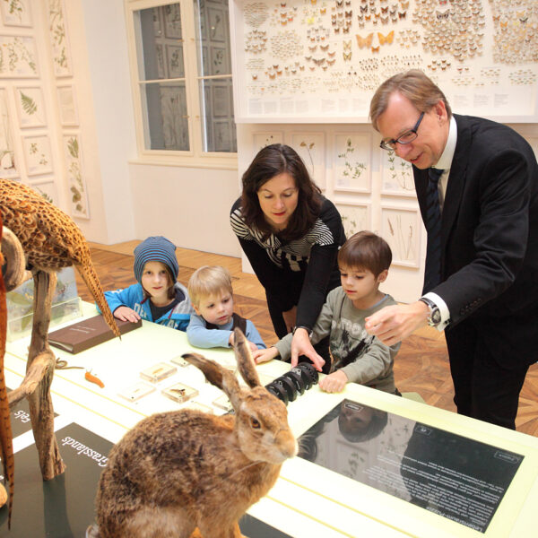 Eine Gruppe von Kindern und zwei Erwachsene betrachten Tierpräparate und interaktive Ausstellungsstücke in einem Naturkundemuseum.
