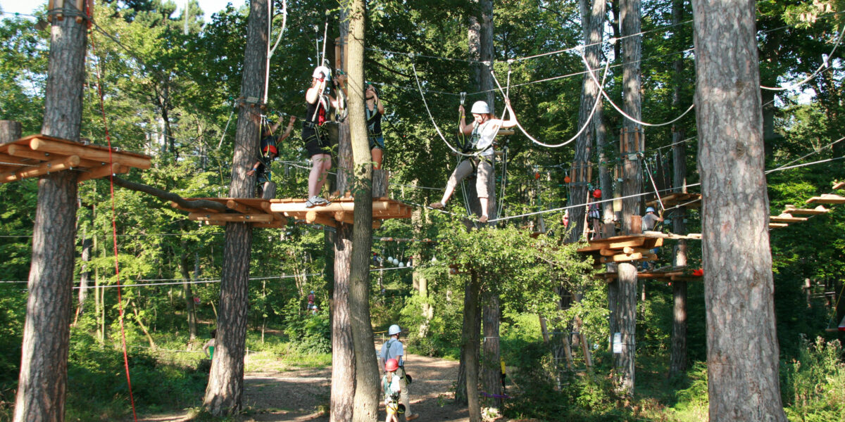 Die Teilnehmer tragen Helme und Klettergurte und navigieren über Seile und Plattformen in einem Baumkronenparcours zwischen hohen Bäumen in einem Waldgebiet.