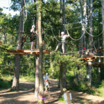 Die Teilnehmer tragen Helme und Klettergurte und navigieren über Seile und Plattformen in einem Baumkronenparcours zwischen hohen Bäumen in einem Waldgebiet.