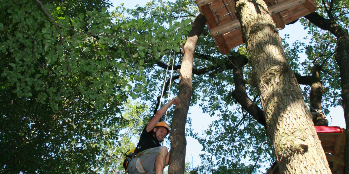 Eine Person klettert auf einer Strickleiter, die zwischen hohen Bäumen aufgehängt ist, auf eine Holzplattform in einem Waldabenteuerpark zu.