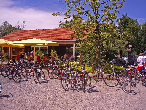 Vor einem Café mit Sitzgelegenheiten im Freien, gelben Sonnenschirmen und Menschen, die an einem sonnigen Tag essen, sind zahlreiche Fahrräder abgestellt.