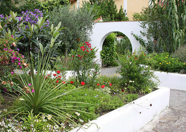 Ein Garten mit verschiedenen blühenden Pflanzen, grünen Sträuchern und einer weißen geschwungenen Mauer mit einem runden Ausschnitt in der Nähe eines gepflasterten Weges.