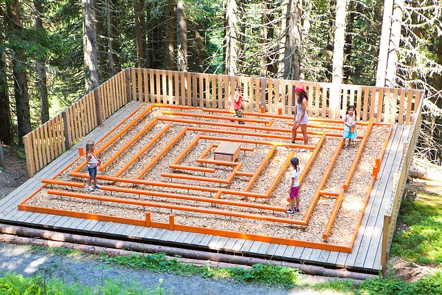 Vier Kinder und ein Erwachsener laufen durch ein kleines, von einem Zaun umgebenes Holzlabyrinth in einem Waldgebiet.