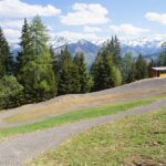 Ein gewundener Schotterweg führt durch eine Grasfläche mit Kiefern, einer kleinen Holzhütte und schneebedeckten Bergen im Hintergrund unter einem teilweise bewölkten Himmel.