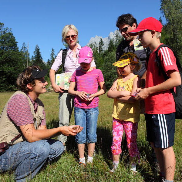 Eine Gruppe von Erwachsenen und Kindern steht auf einer Wiese, während eine Person in der Hocke sitzt und ihnen etwas in der Hand zeigt. Im Hintergrund sind Bäume und Berge zu sehen.