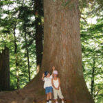 Zwei Kinder stehen am Fuß eines großen Baumes in einem Wald, posieren und machen mit ihren Fingern Friedenszeichen.