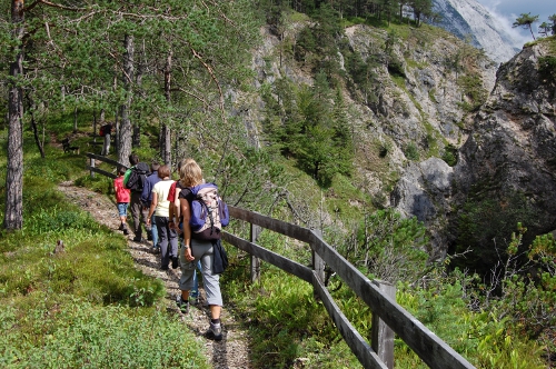 Eine Gruppe von Menschen mit Rucksäcken wandert auf einem schmalen Waldweg, der von einem Holzzaun begrenzt wird, mit Felsklippen und Bäumen im Hintergrund.