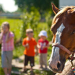 Ein braunes Pferd mit Zaumzeug steht im Vordergrund; drei Kinder sind unscharf im Hintergrund an einem sonnigen Tag im Freien zu sehen.
