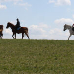 Eine Reihe von Menschen reitet auf Pferden über ein grasbewachsenes Feld unter einem teilweise bewölkten Himmel.