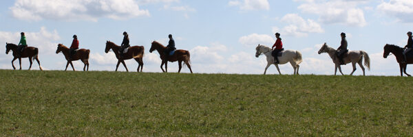 Eine Reihe von Menschen reitet auf Pferden über ein grasbewachsenes Feld unter einem teilweise bewölkten Himmel.
