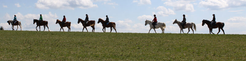 Eine Reihe von Menschen reitet auf Pferden über ein grasbewachsenes Feld unter einem teilweise bewölkten Himmel.