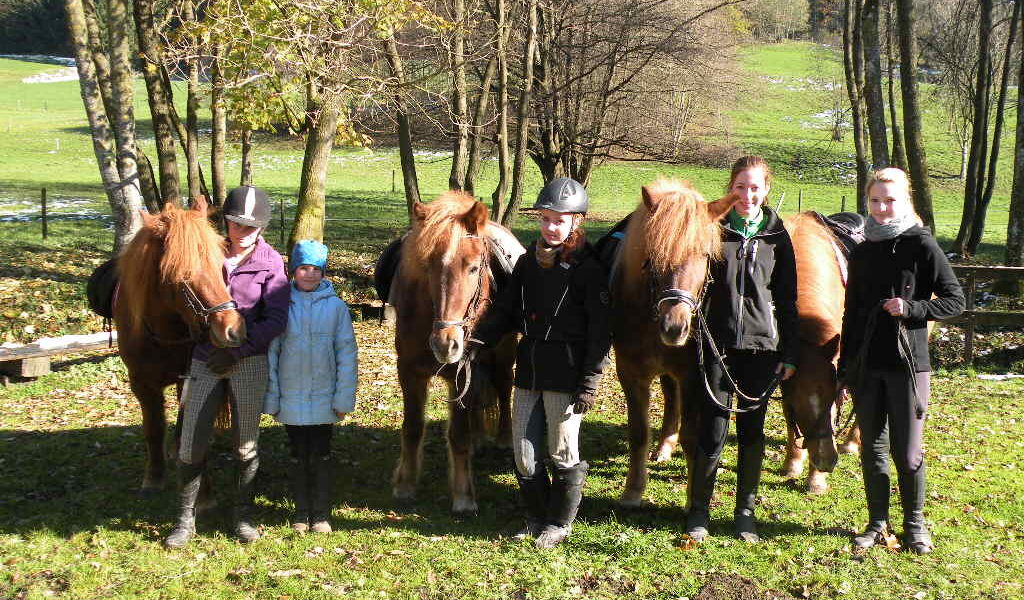 Fünf Personen stehen an einem sonnigen Tag im Freien mit vier Pferden auf einer Wiese mit Bäumen und einem Zaun im Hintergrund.