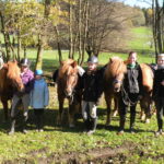 Fünf Personen stehen an einem sonnigen Tag im Freien mit vier Pferden auf einer Wiese mit Bäumen und einem Zaun im Hintergrund.