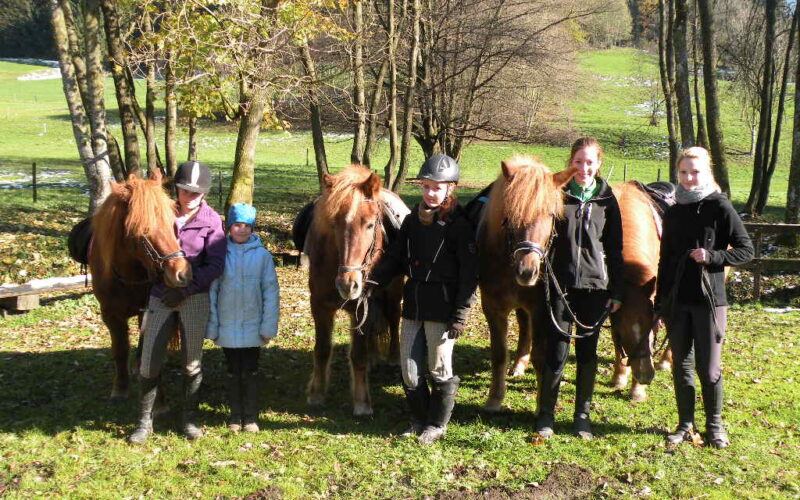 Fünf Personen stehen an einem sonnigen Tag im Freien mit vier Pferden auf einer Wiese mit Bäumen und einem Zaun im Hintergrund.