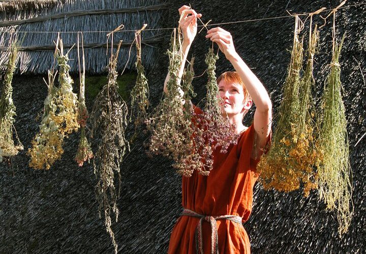 Eine Person in einem braunen Kleid hängt Kräuter- und Pflanzensträuße zum Trocknen auf eine Wäscheleine an einer Strohwand.