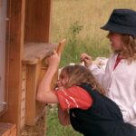 Zwei Kinder interagieren mit einem hölzernen Schaukasten im Freien, heben Deckel an, um hineinzuschauen, während sie auf einer Wiese stehen.
