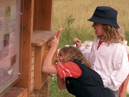 Zwei Kinder interagieren mit einem hölzernen Schaukasten im Freien, heben Deckel an, um hineinzuschauen, während sie auf einer Wiese stehen.