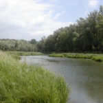 Ein ruhiger Fluss schlängelt sich unter einem teilweise bewölkten Himmel durch grasbewachsene Ufer und dichte Bäume.