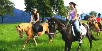 An einem sonnigen Tag reitet eine Gruppe von Menschen auf Pferden durch eine Wiese mit Bäumen und Hügeln im Hintergrund.