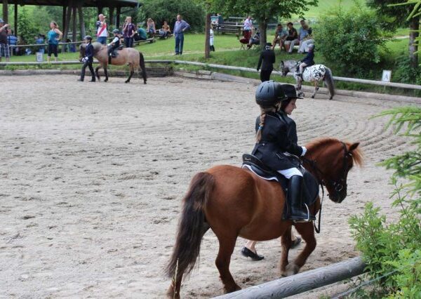 Ein Kind in Reitkleidung reitet auf einem braunen Pony in einer Sandarena, im Hintergrund sind andere Reiter und Zuschauer zu sehen.