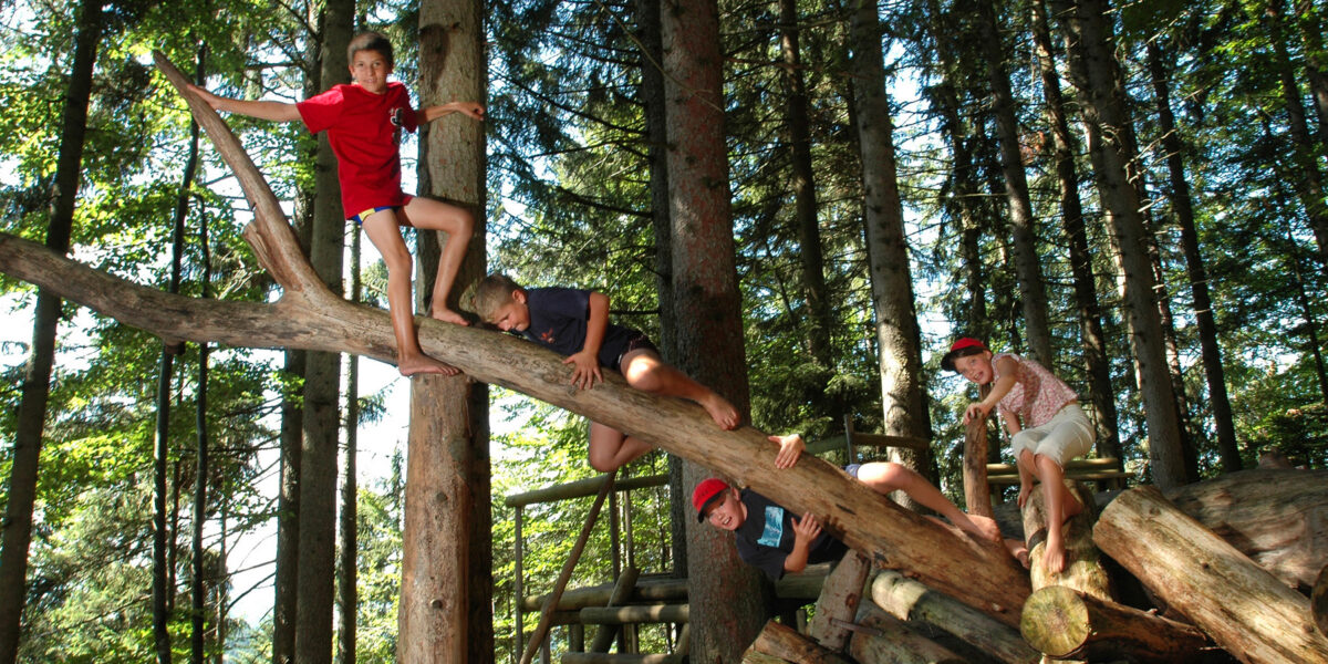 Vier Kinder klettern auf einem umgestürzten Baum und gestapelten Baumstämmen in einem Wald, umgeben von hohen Bäumen und Sonnenlicht, das durch die Baumkronen fällt.