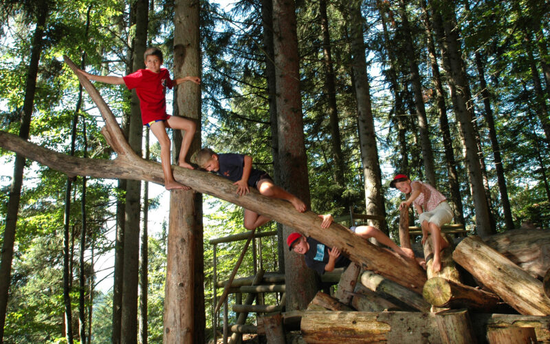 Vier Kinder klettern auf einem umgestürzten Baum und gestapelten Baumstämmen in einem Wald, umgeben von hohen Bäumen und Sonnenlicht, das durch die Baumkronen fällt.