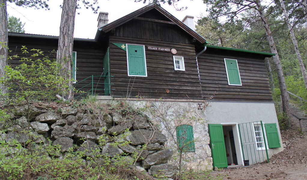 Ein rustikales, dunkelbraunes Holzhaus mit grünen Fensterläden und Türen steht auf einem Steinfundament, umgeben von Bäumen und Grünpflanzen.