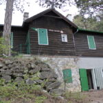 Ein rustikales, dunkelbraunes Holzhaus mit grünen Fensterläden und Türen steht auf einem Steinfundament, umgeben von Bäumen und Grünpflanzen.