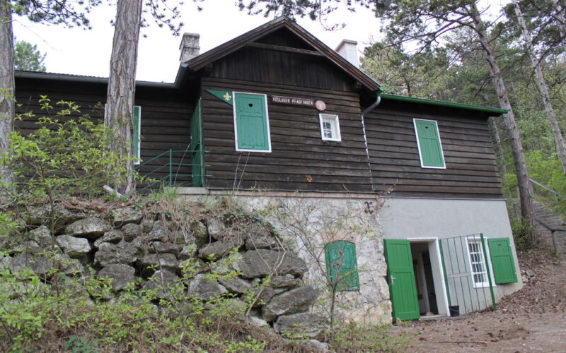 Ein rustikales, dunkelbraunes Holzhaus mit grünen Fensterläden und Türen steht auf einem Steinfundament, umgeben von Bäumen und Grünpflanzen.