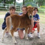 Drei Kinder knien und stehen um ein kleines braunes Ponyfohlen in einem eingezäunten Außenbereich mit Bäumen und Gras im Hintergrund.